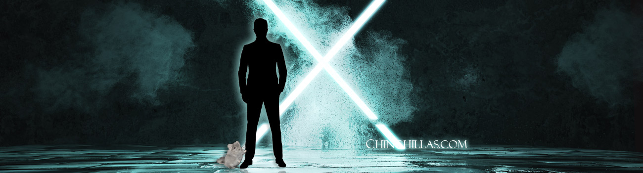 Feature Image for Mr. X and the Violet Chinchilla